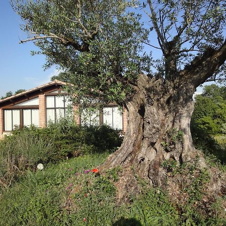 Chalet Domaine De Combe Ramond Veilhes Exterior foto
