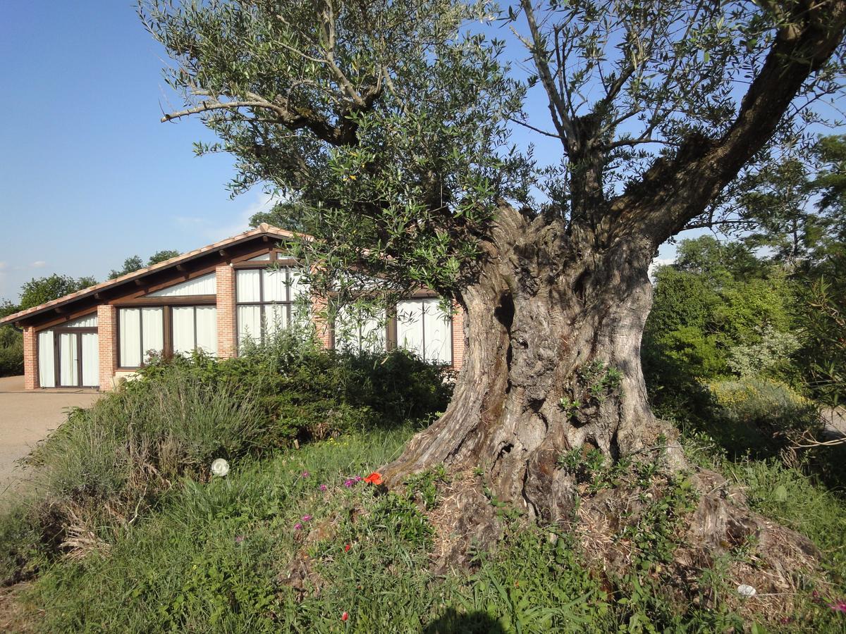 Chalet Domaine De Combe Ramond Veilhes Exterior foto